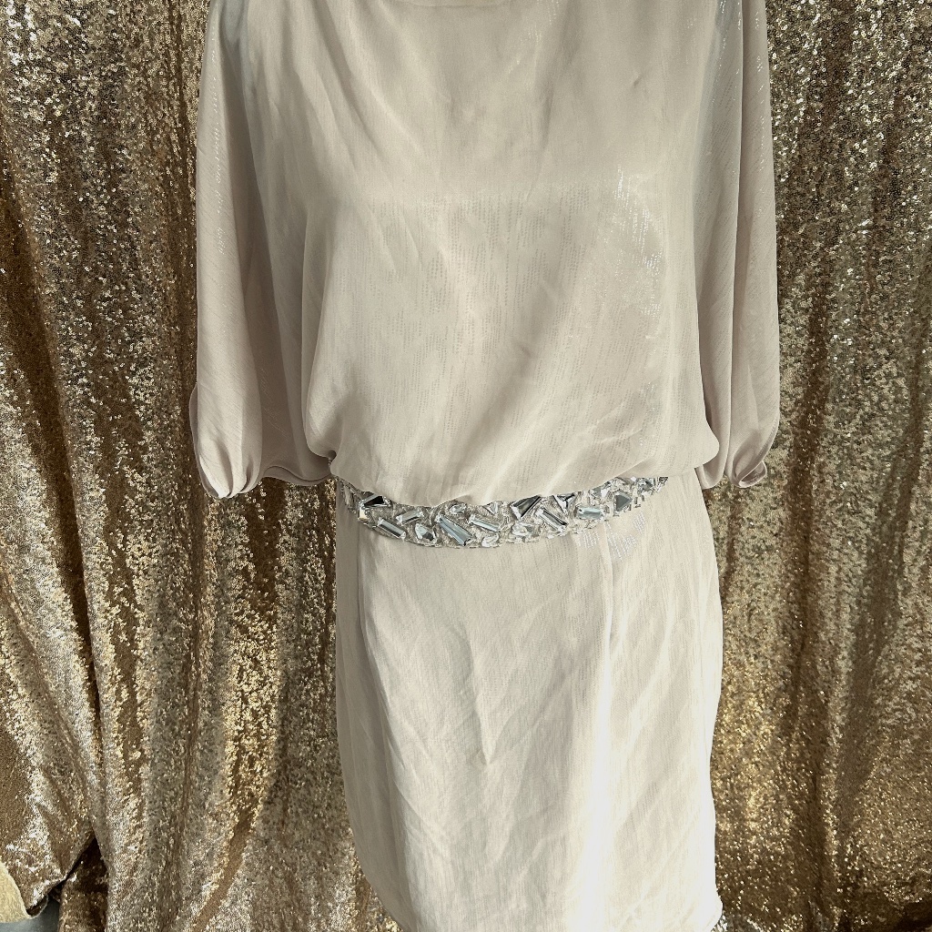 Nwot Knee Length Champagne Dress